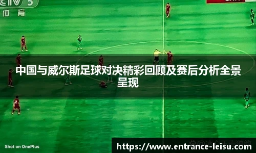 雷速体育